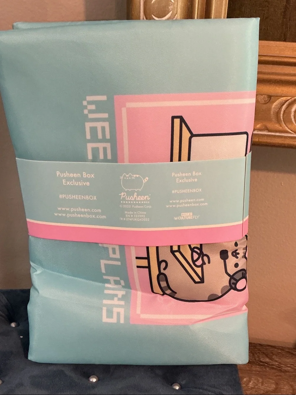 Pusheen Box Exclusive Device Sleeve NEW 10x13.5 Weekend Plans Blue Pink